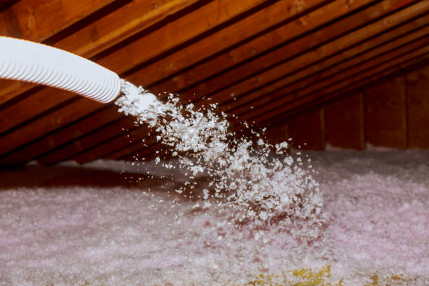 Best Energy Efficiency Solutions in Ladera, CA